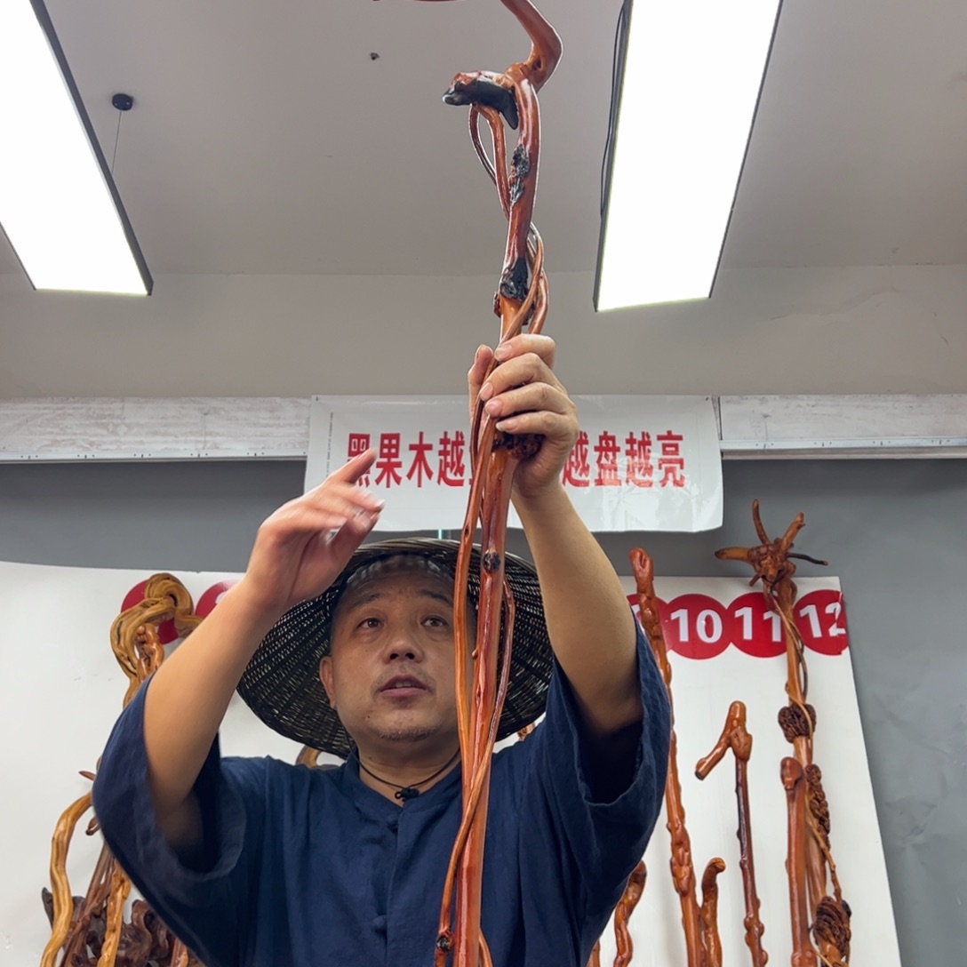 黑果木其他黑果木841