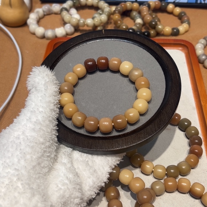 菩提根/象牙果吊坠5微瑕原生态14