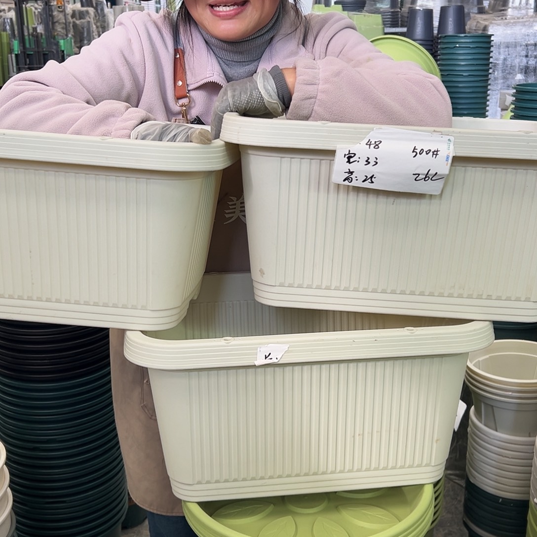 菜盆500#米白色3个无托