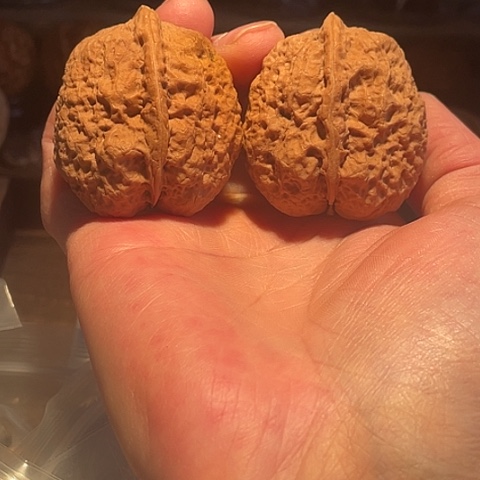 把件文玩核桃镇妖塔带彩磕尖40