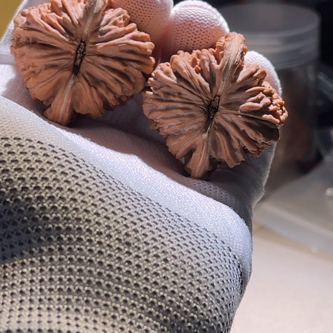 A***s全品。45全品。楼子。全品吧楼子。