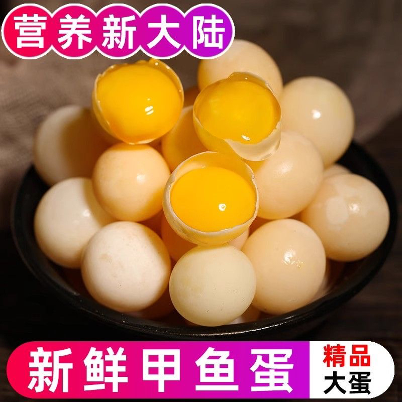 【顺丰快递】100送20个新鲜甲鱼蛋水鱼蛋自宝辅食+送卤料包+送食谱