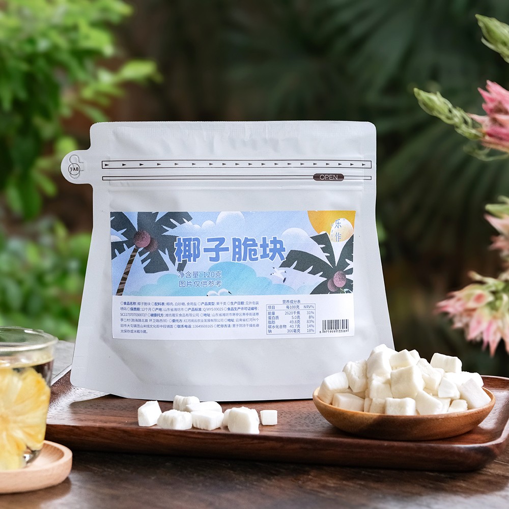 乐作｜椰子脆块 非油炸  应季采摘 鲜材加工 酥脆清甜 休闲小零嘴