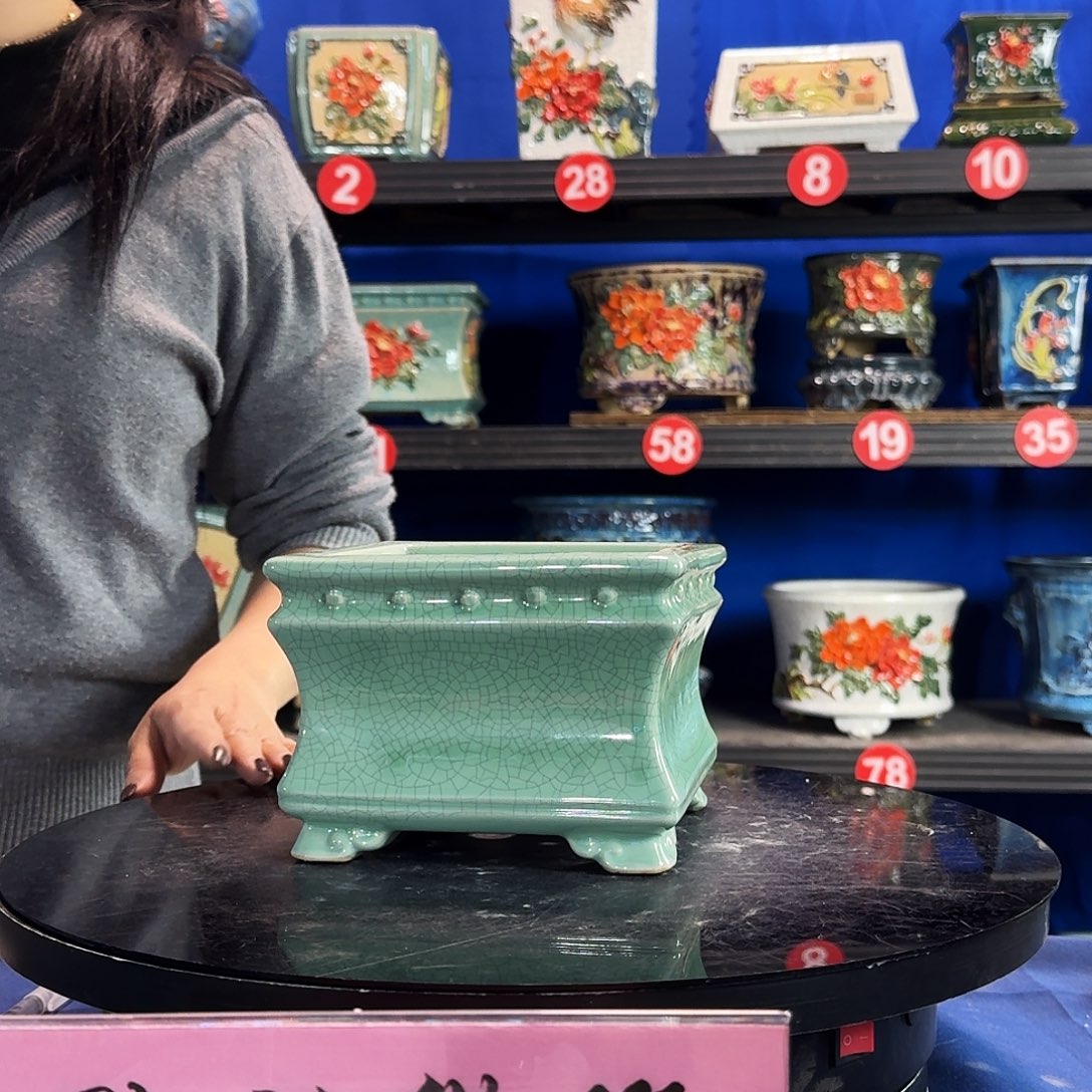 591浅绿口不正介意勿拍