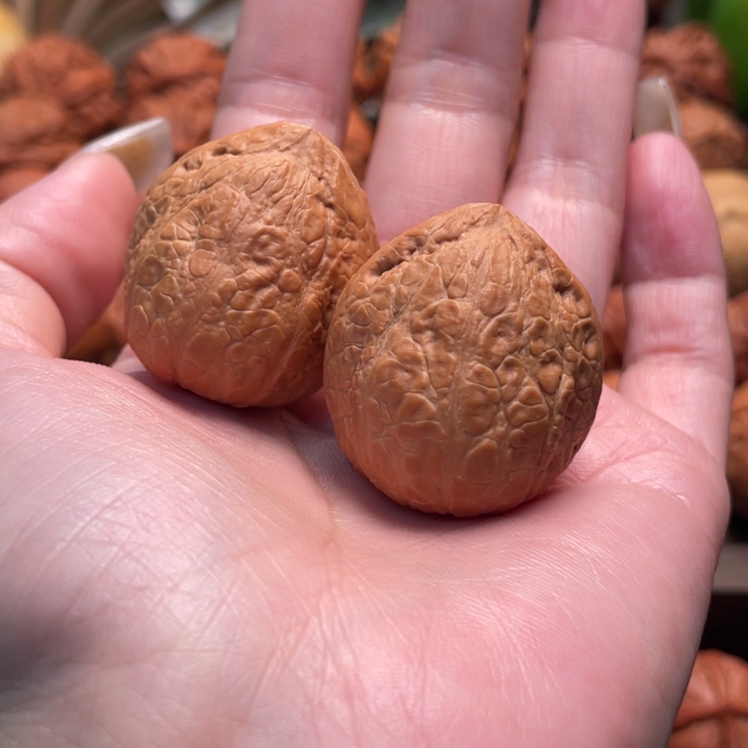 把件文玩核桃鸭嘴兽