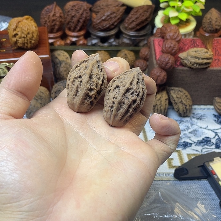 核桃东北楸子小龙脊15