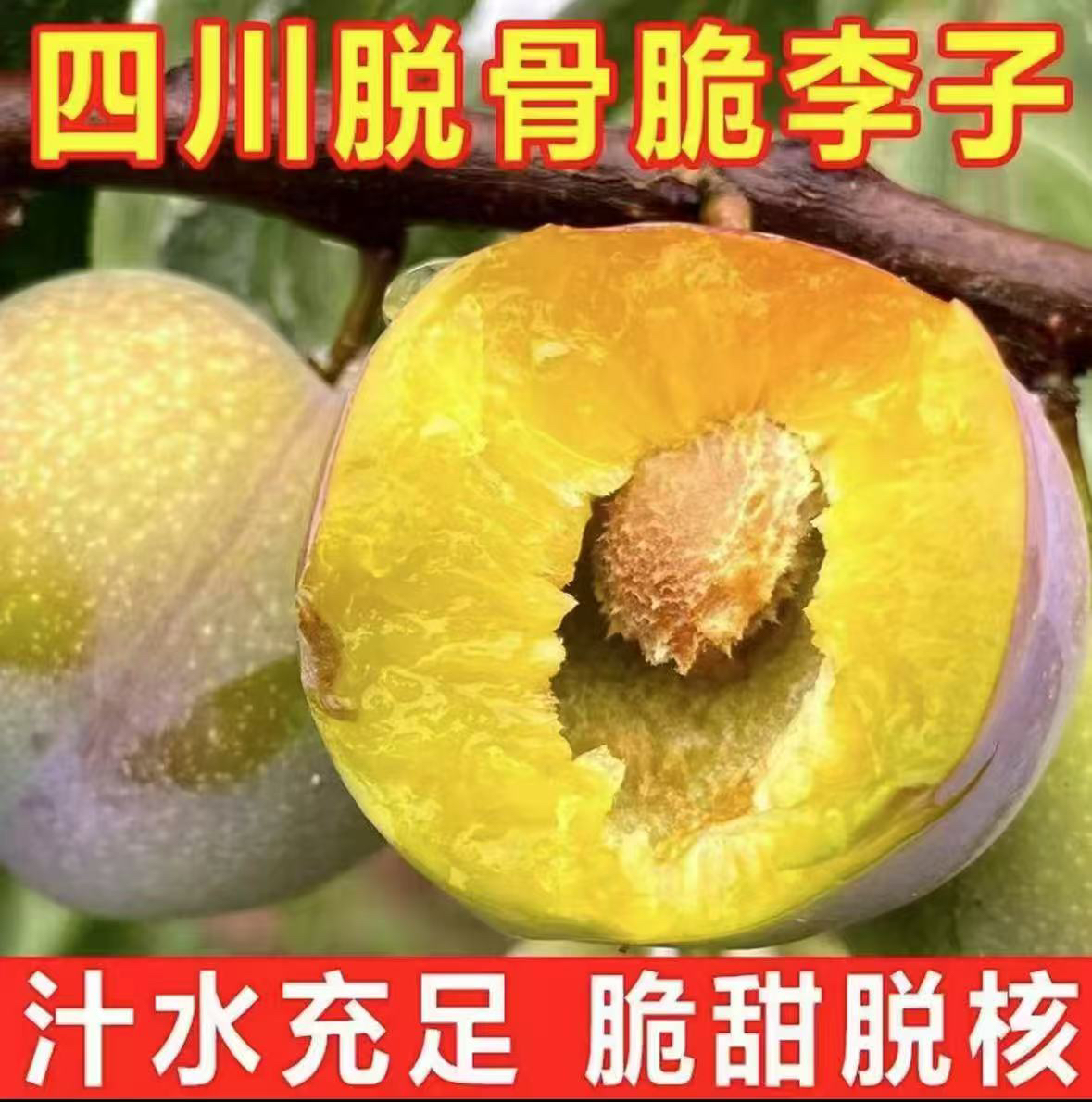当季新鲜李子半边红脆李子茵红李脱骨李子酸甜可口应季水果