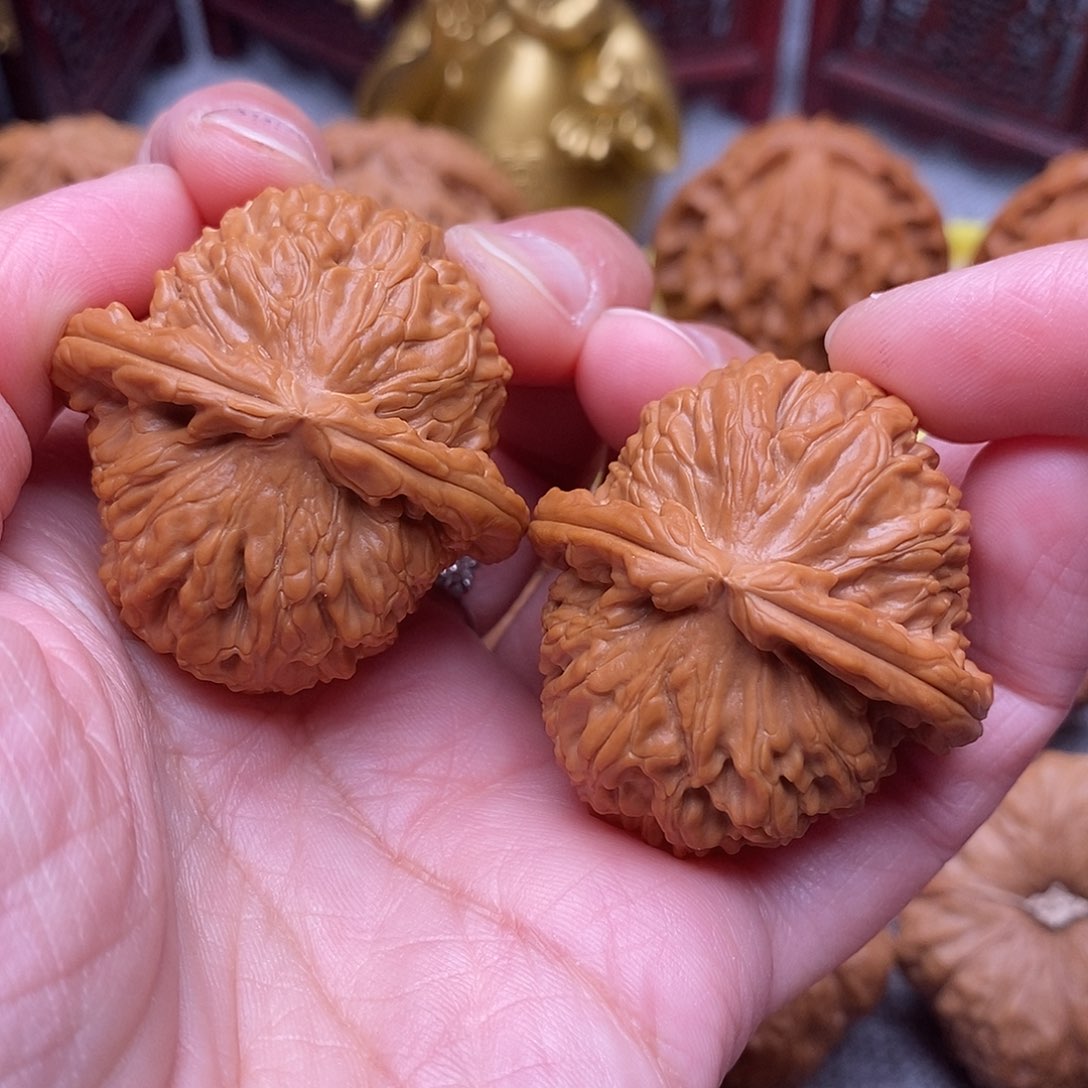 文玩核桃把件全品毕业白狮子39尺