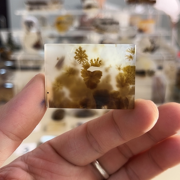 玛瑙/玉髓吊坠(不含链)未镶嵌