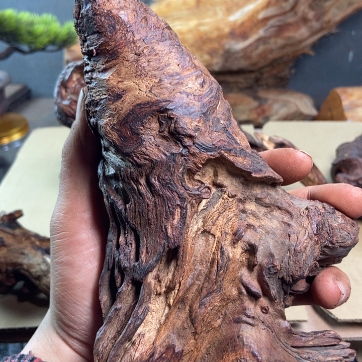 黄花梨/降香黄檀用****1
