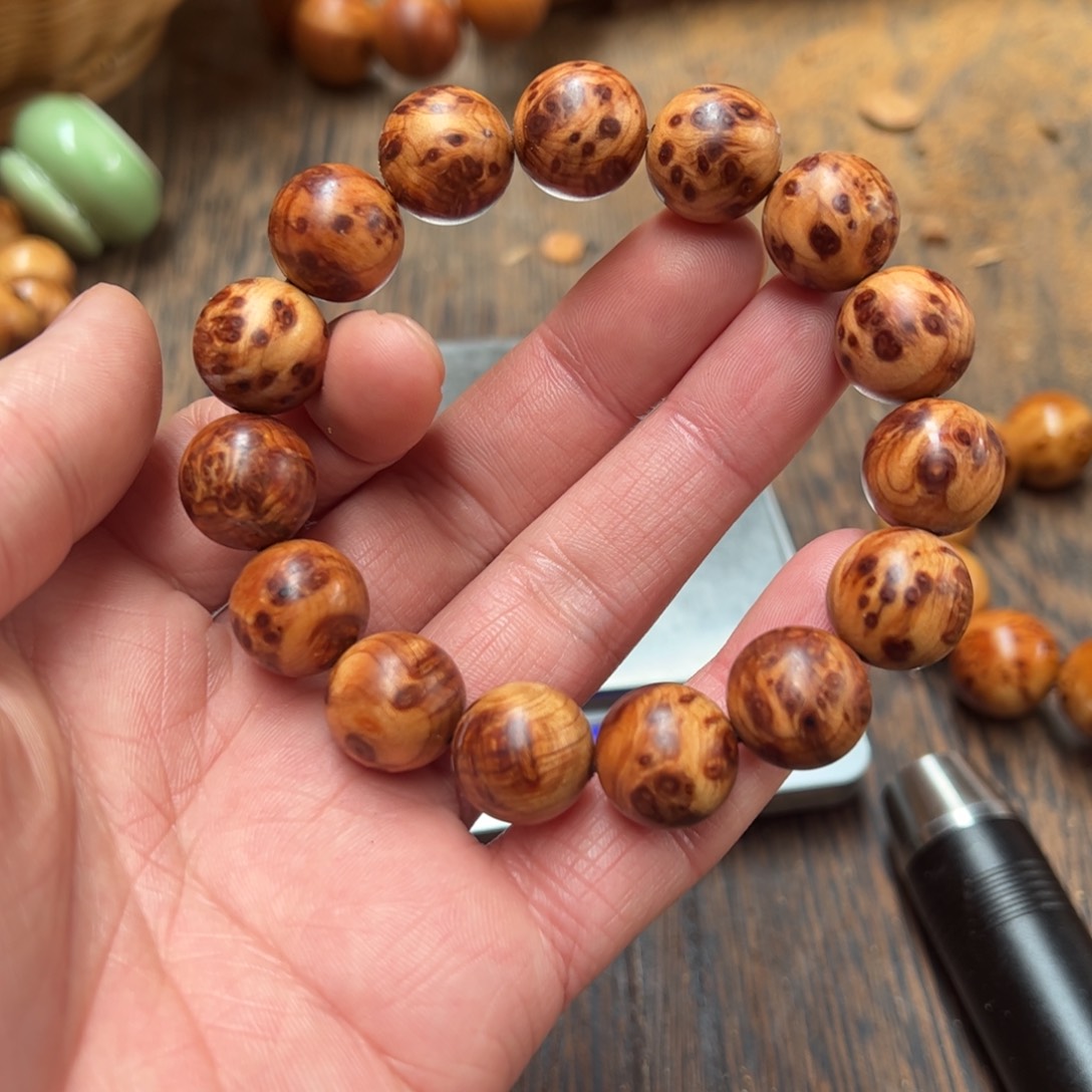 太行崖柏陈化太行