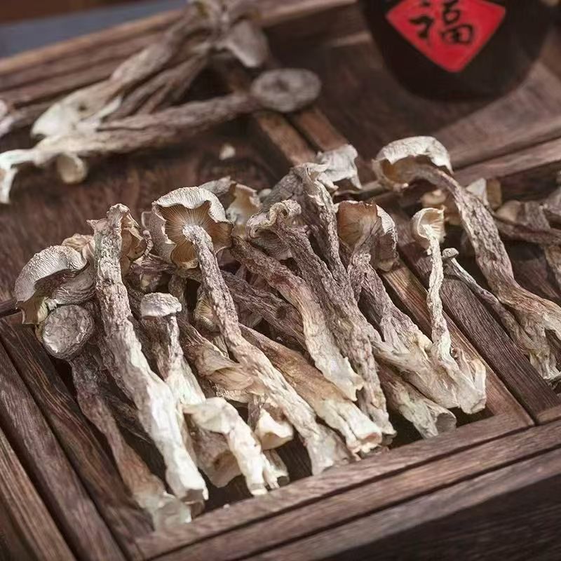 鹿茸菇嫩仔干货头茬新鲜新货嫩仔煲汤爆炒可凉拌