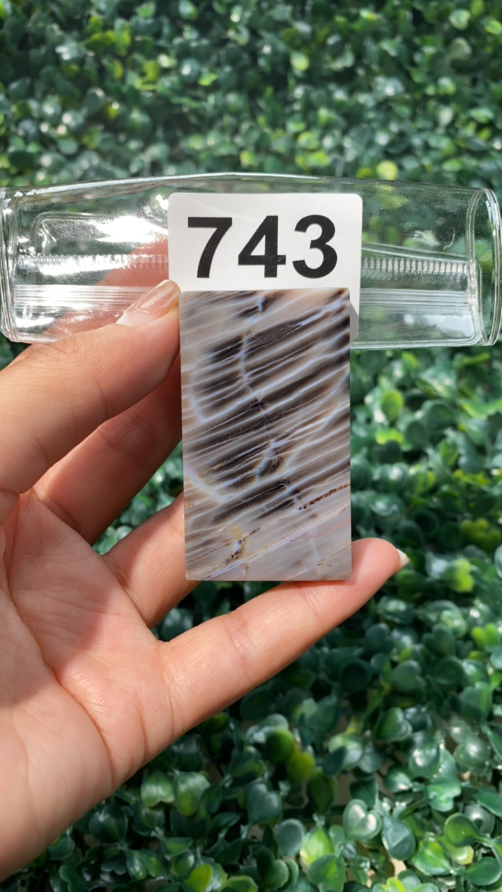 天然北票硅化玉牌子长：58mm宽：34mm厚：10mm