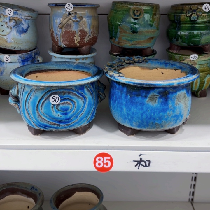 红陶内口11高10左右