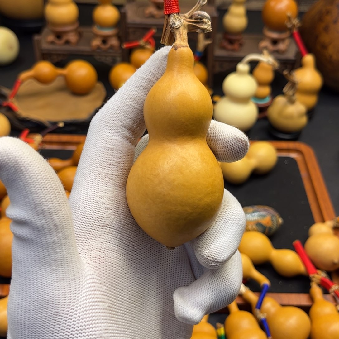 小**?葫芦葫芦葫芦葫芦葫芦