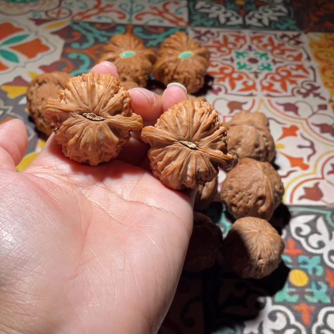 小***辣手串/手链核桃41白狮子