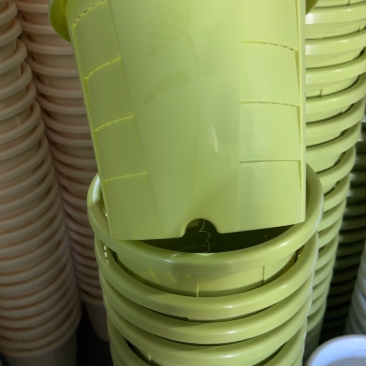 测3#口径25无托果绿5个