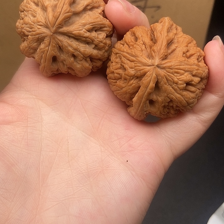 秋***叶大大大大大粗筋歪