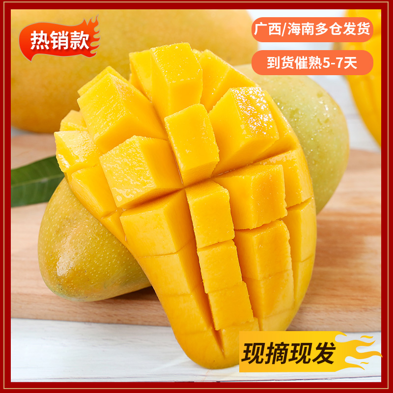 【催熟食用】海南现摘金煌芒果应季水果广西仓现采现发香甜可口时令