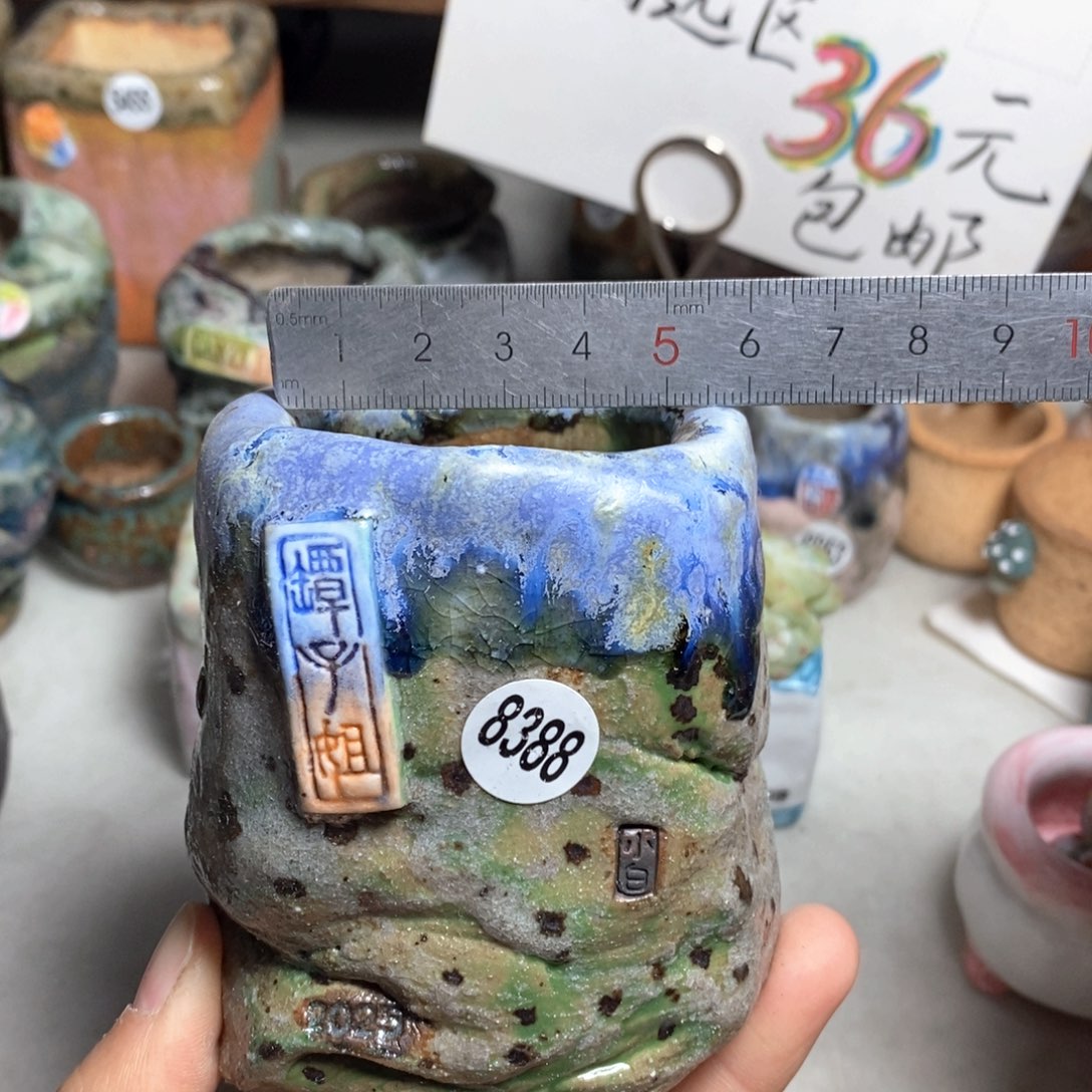 花盆双十二活动不退不换的原108元一个