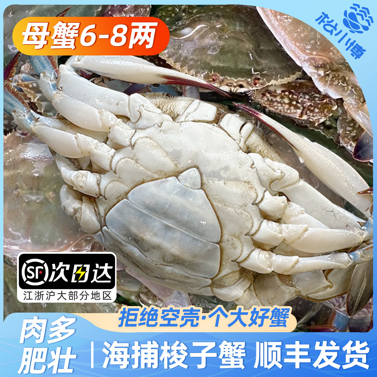 ZBu舟山母蟹梭子蟹7两左右/只（6只4.2斤左右含赠）不可清蒸【冻蟹】