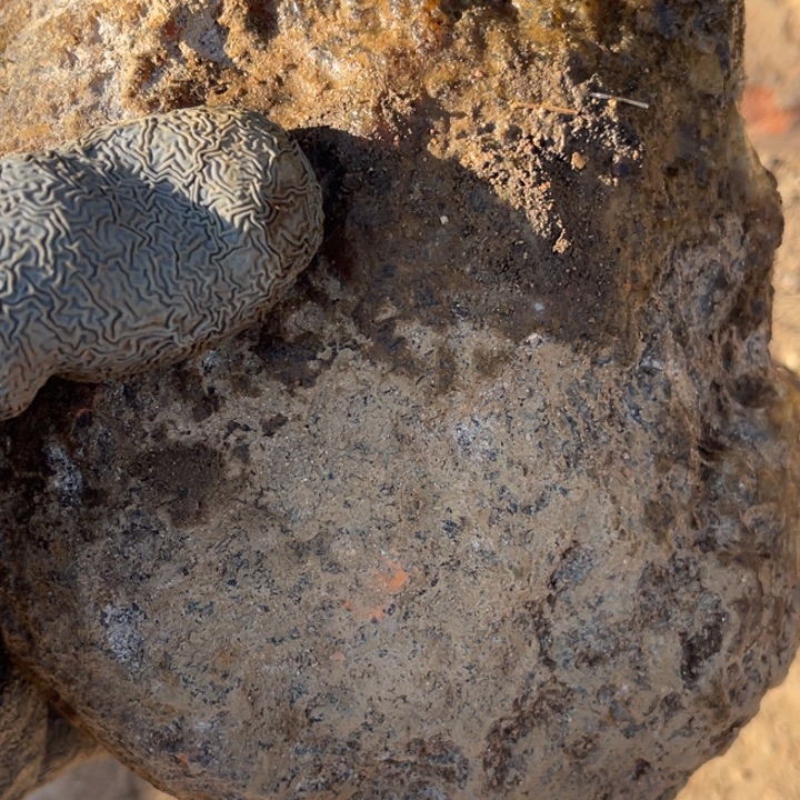 寸***兰定制玛瑙玛瑙手镯