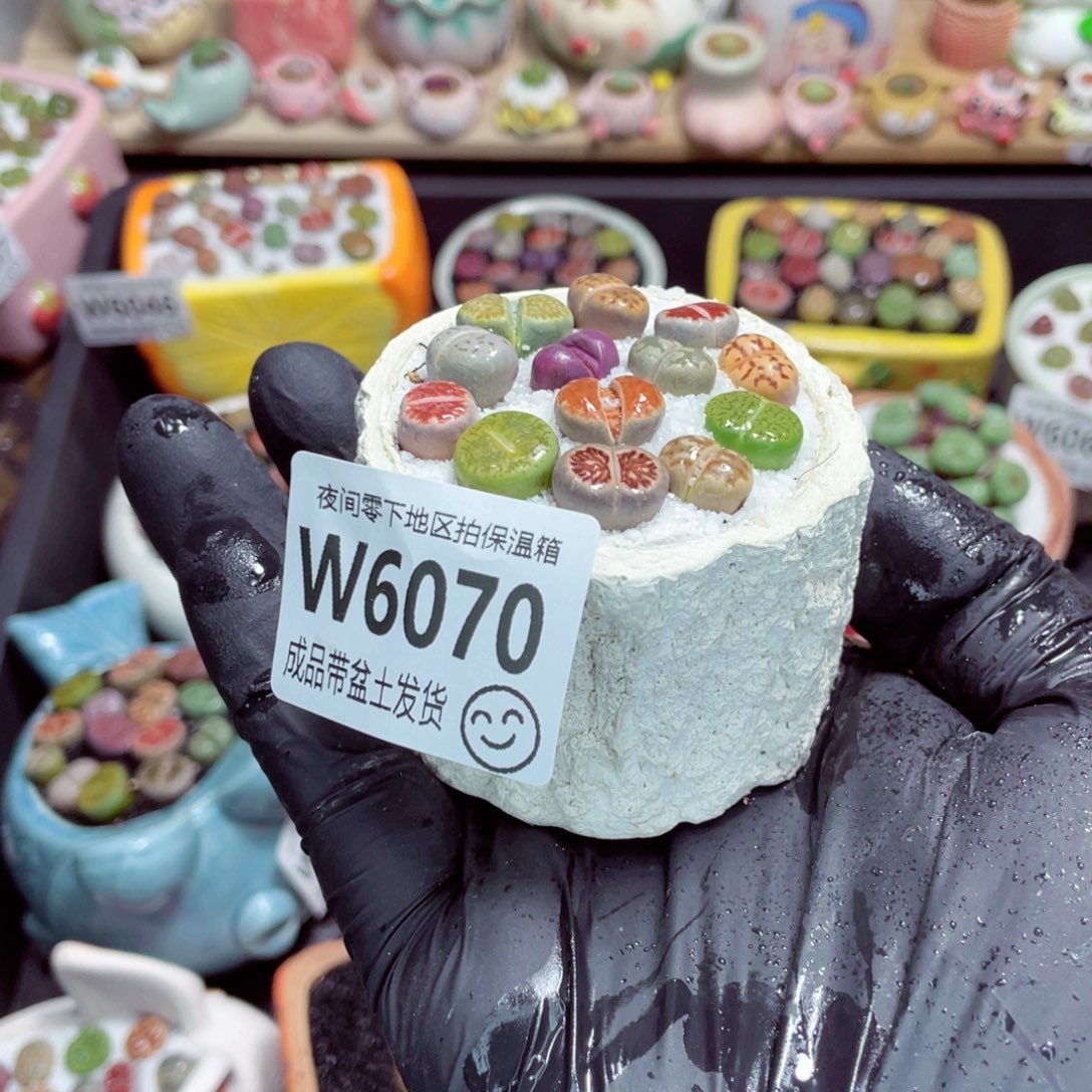 夜间零下地区拍保温箱w6070