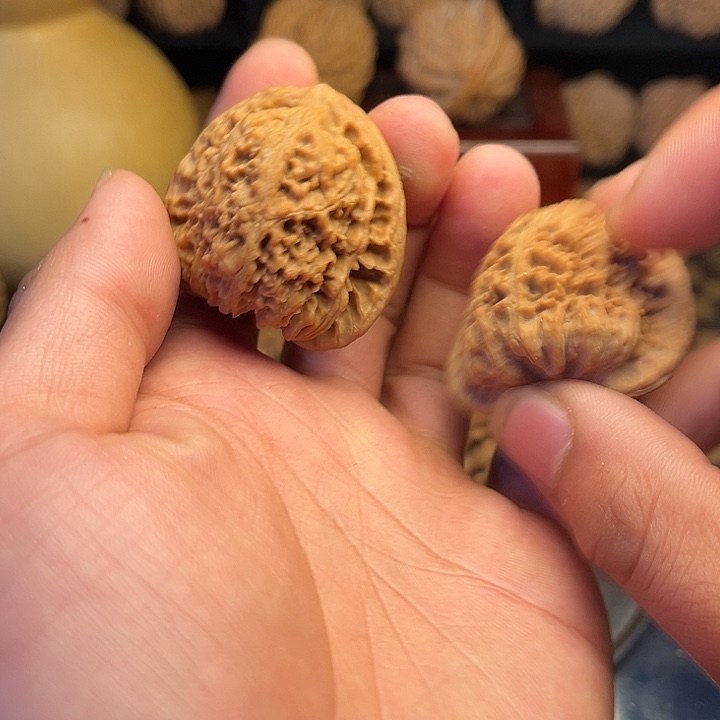 张***磕大叶紫檀（黑酸枝木类）