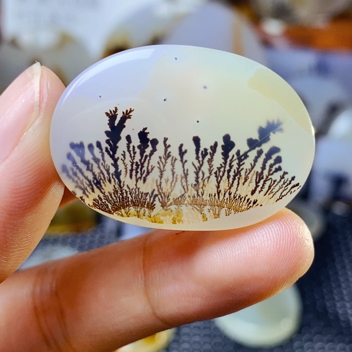 玛瑙/玉髓未镶嵌珠宝半成品