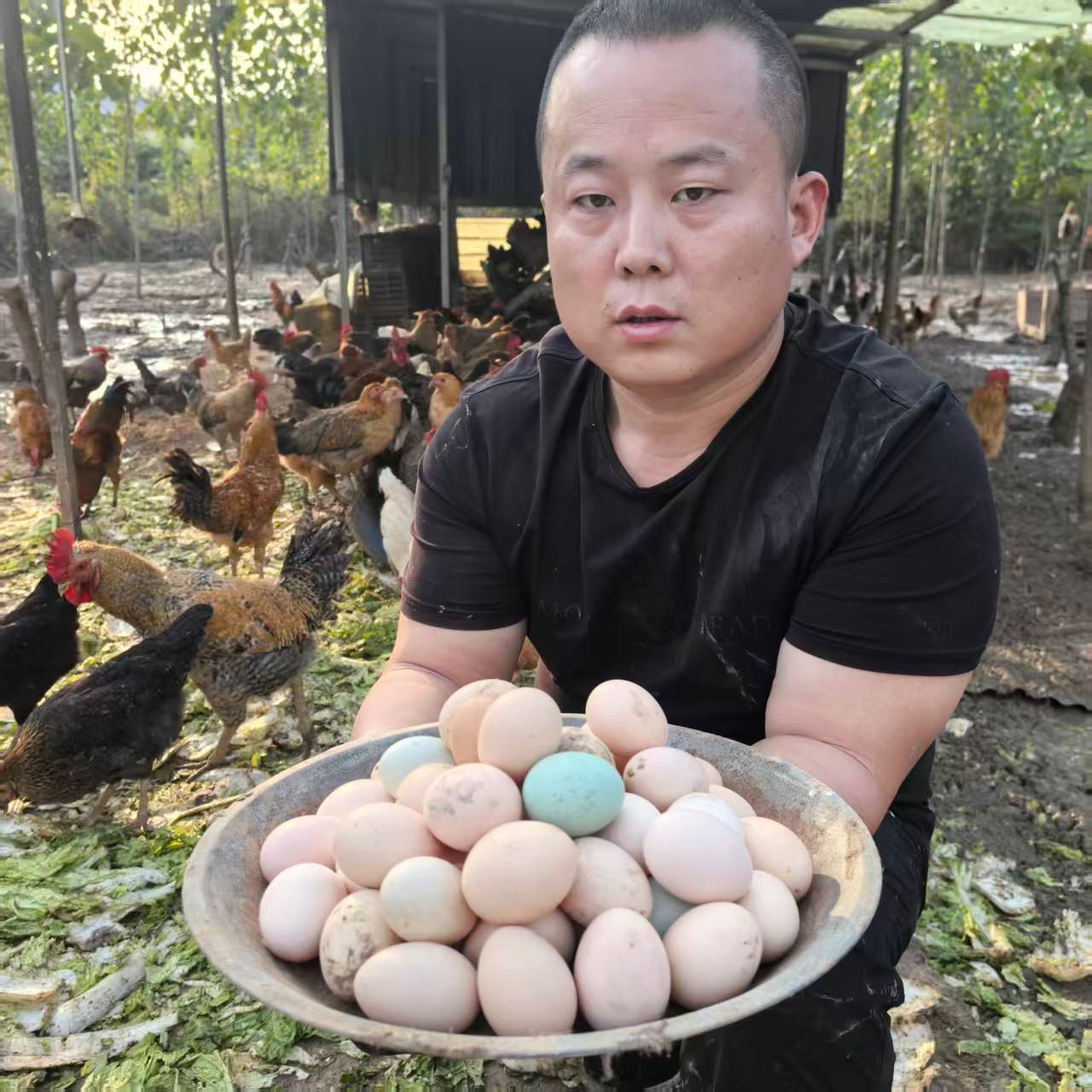 40枚小曹甄选农家正宗散养新鲜土鸡蛋营养笨鸡蛋谷物喂养破损包赔
