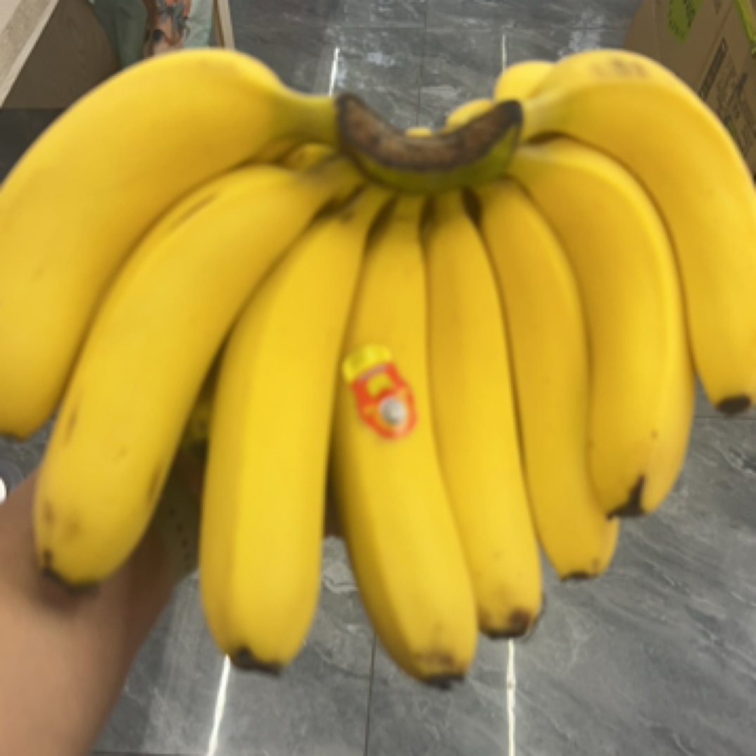 香蕉9.9元一串3斤多