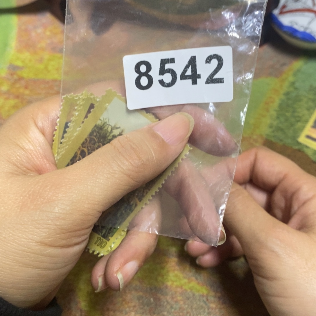 景德镇陶瓷艺术家