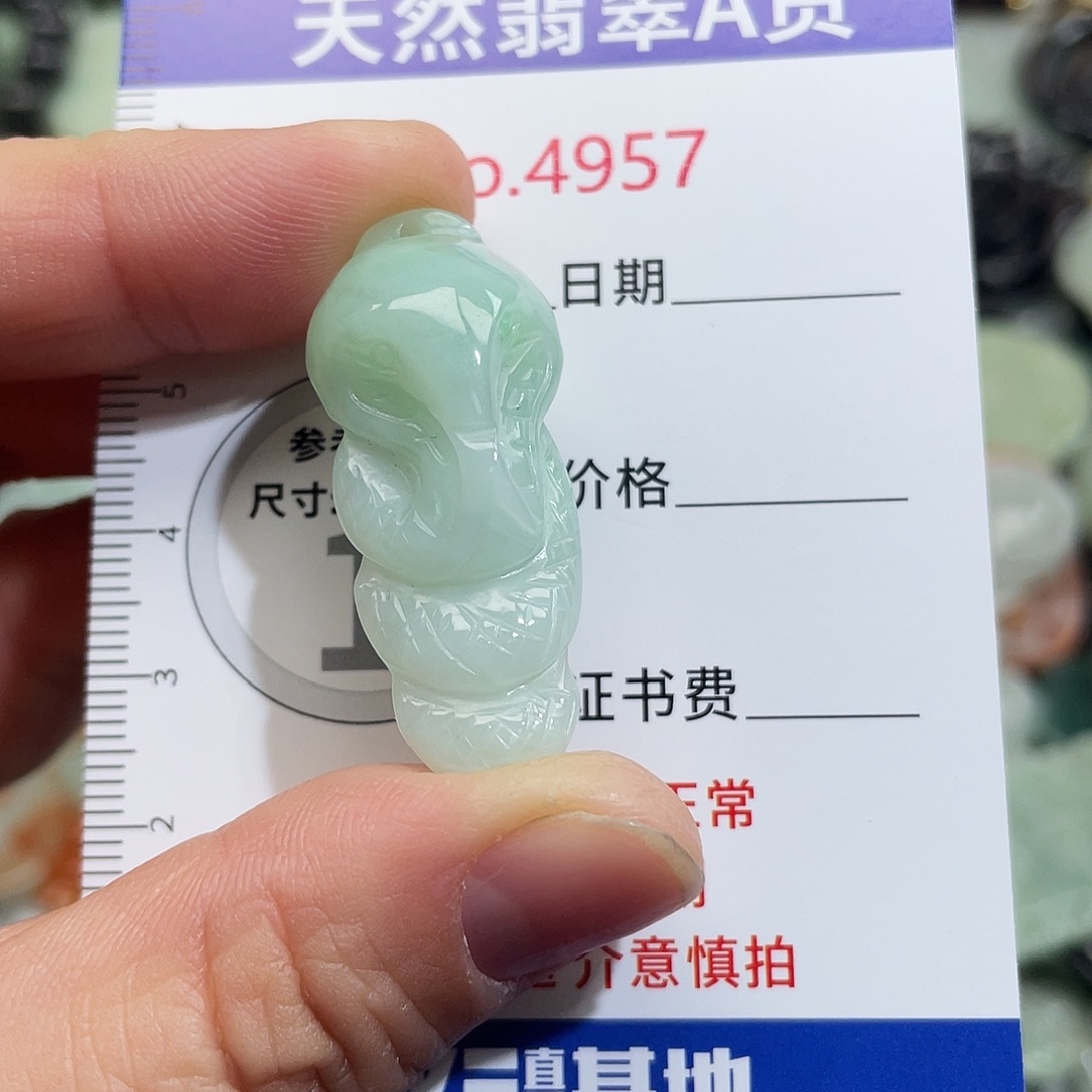 翡翠未镶嵌挂件4957