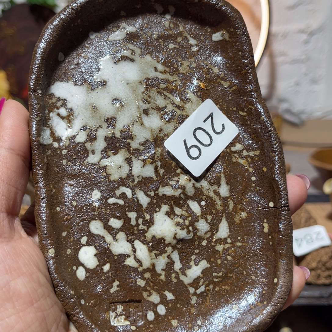 木村信弘柴烧保平