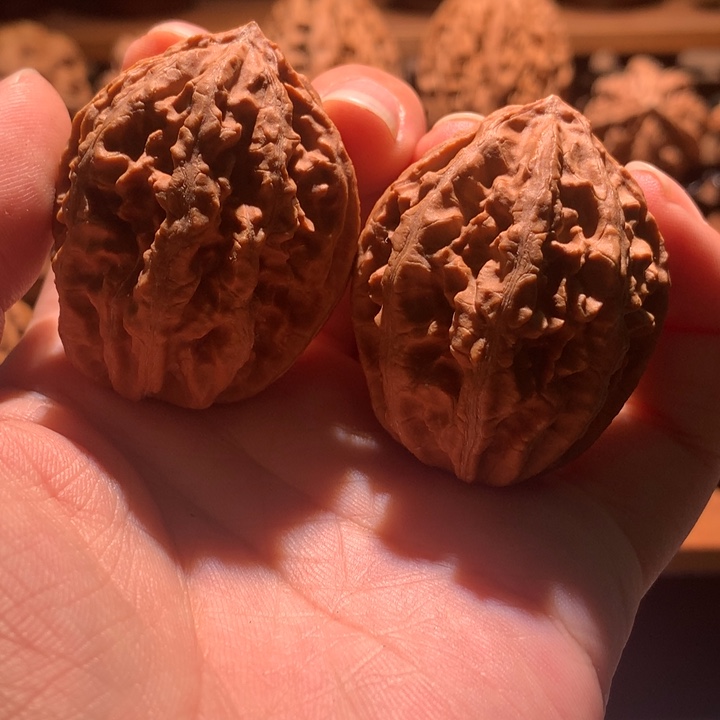 文玩核桃吊坠楸玥核31