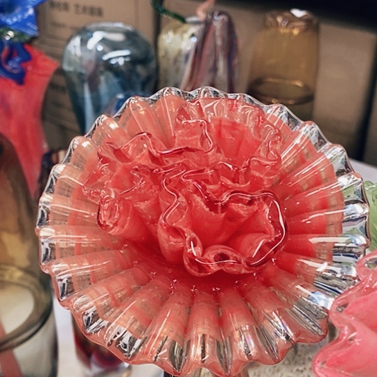 琉璃夜光花高45厘米