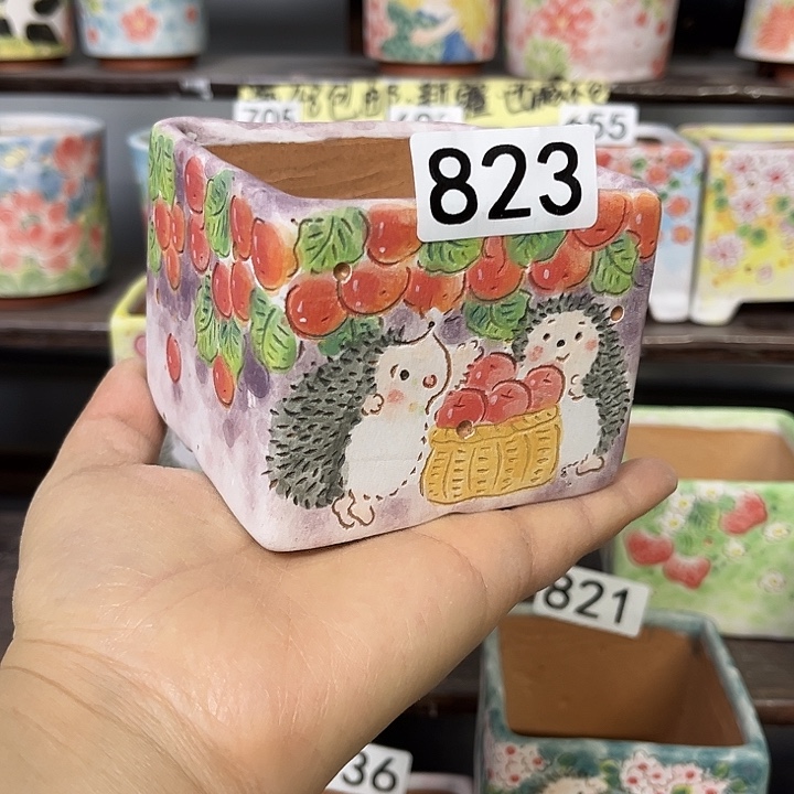 手工制作多肉花盆