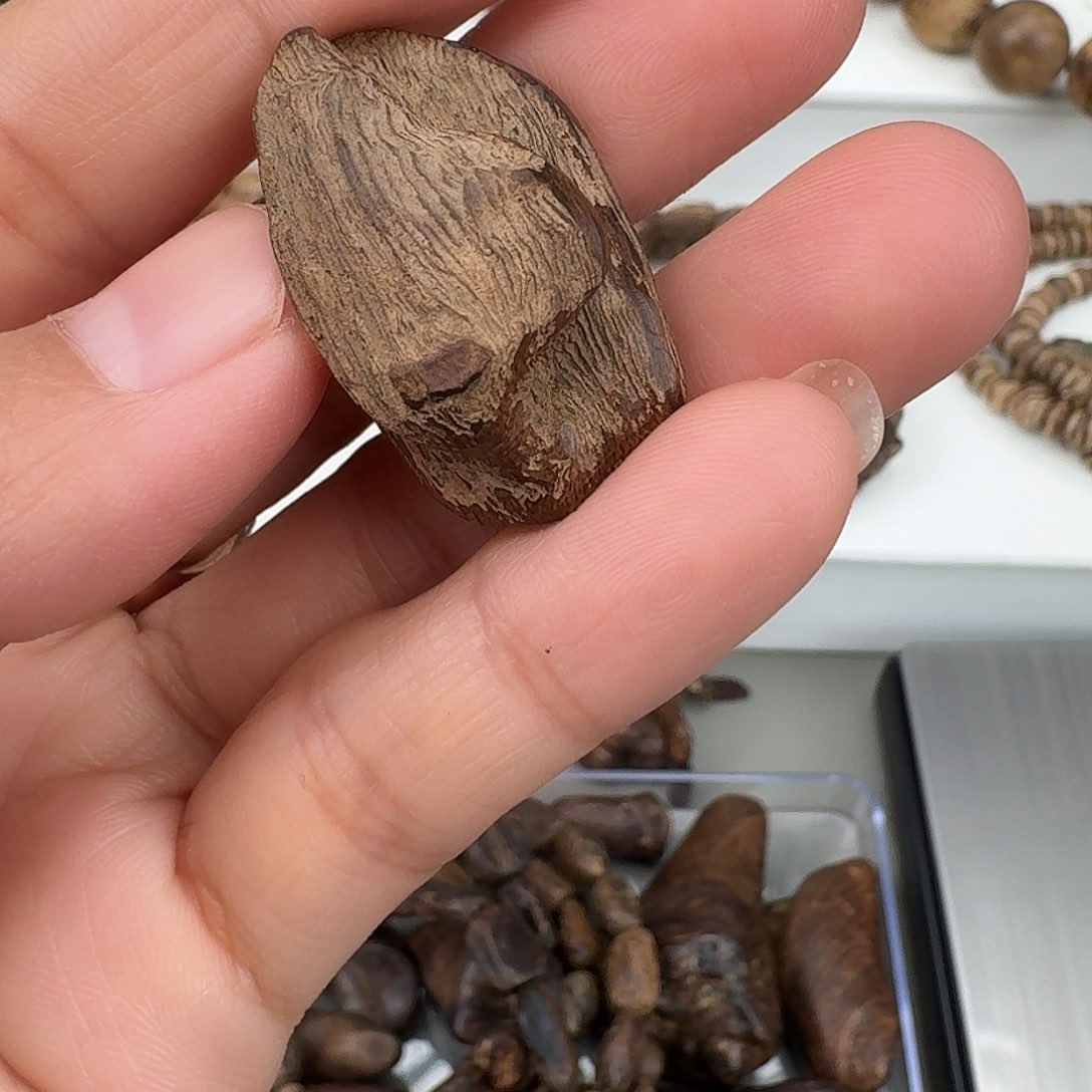 ABS宝*莱特红土3.2