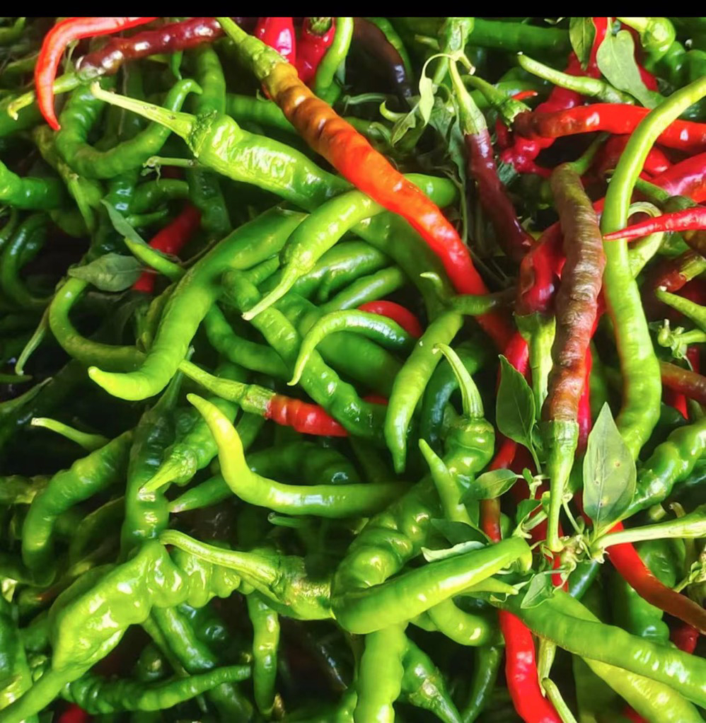（助农）高山本地辣椒农家辣椒