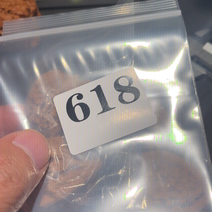 核桃111111111111111