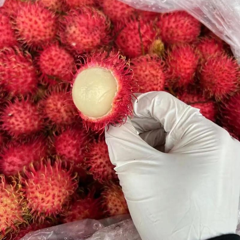 海南红毛丹约230g/盒