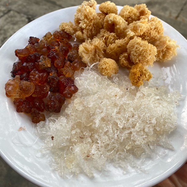 桃胶、雪燕、小银耳组合装/云南德宏山货