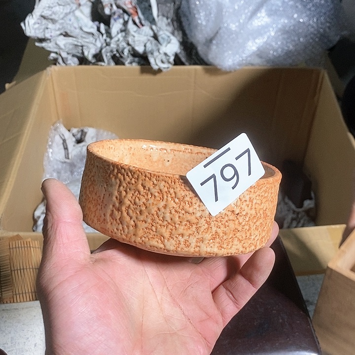 瓷片阿宝先生推荐好物