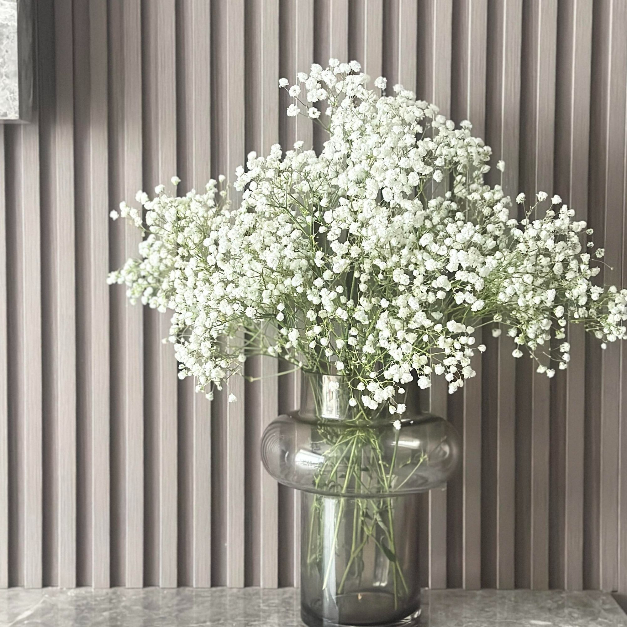 搭配-明日达【白色满天星  】鲜花任意两单顺丰送货上门