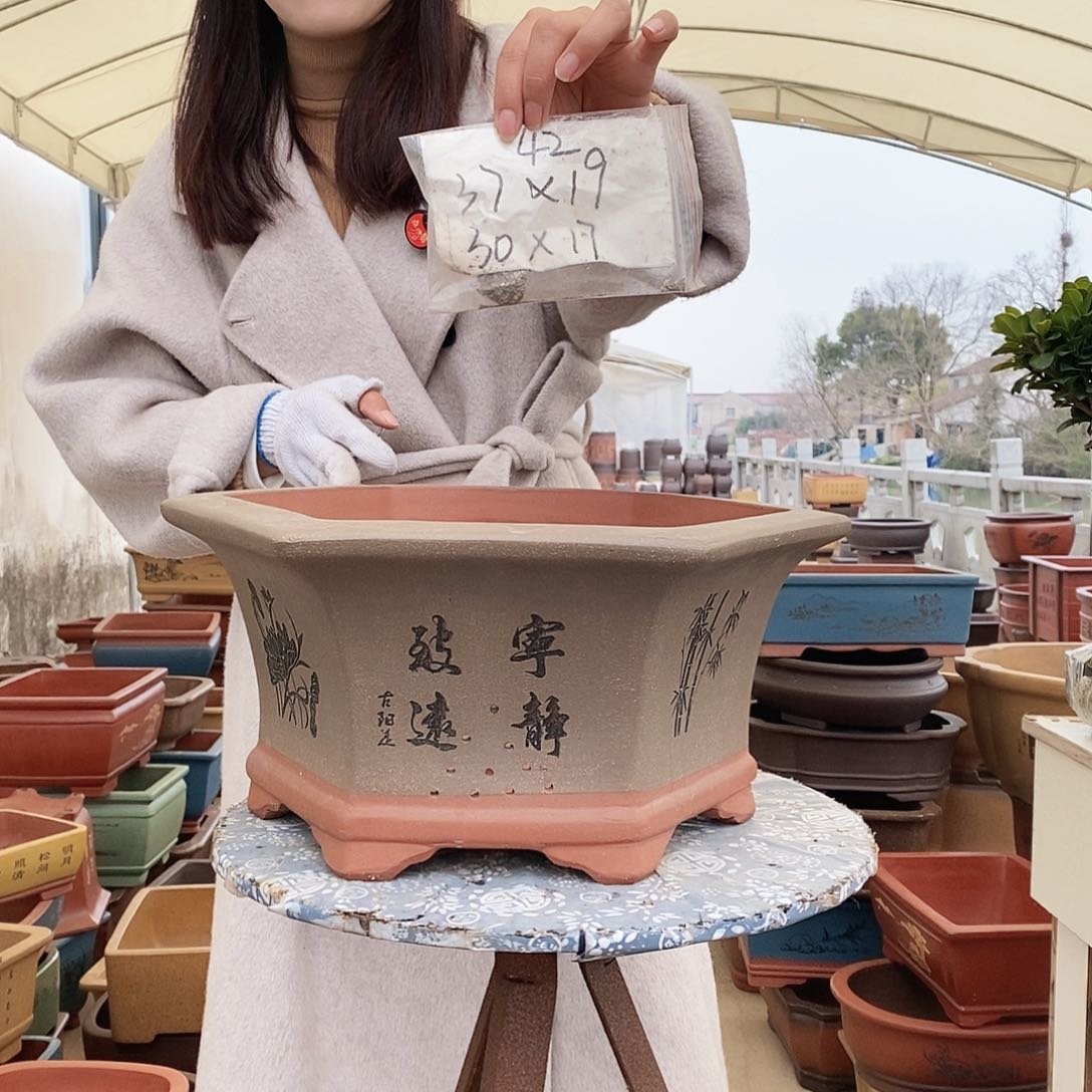 紫砂花盆紫砂花盆