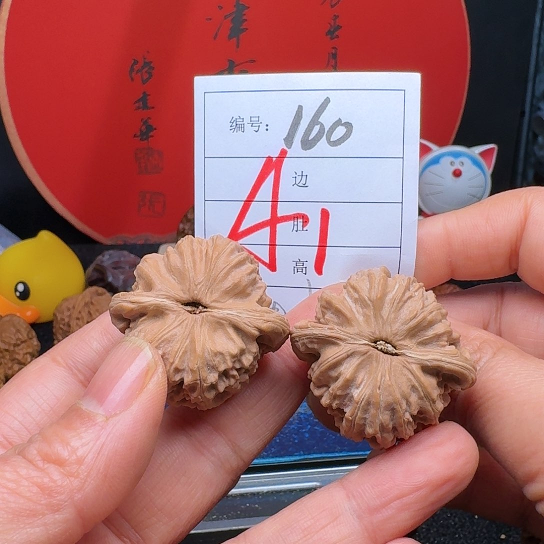 文玩核桃把件白师子36