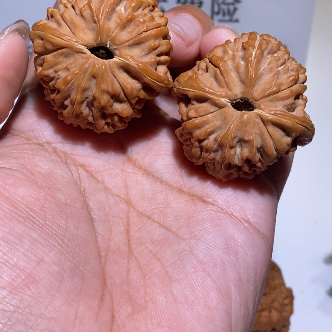 今***鸡手串/手链核桃一抹红37