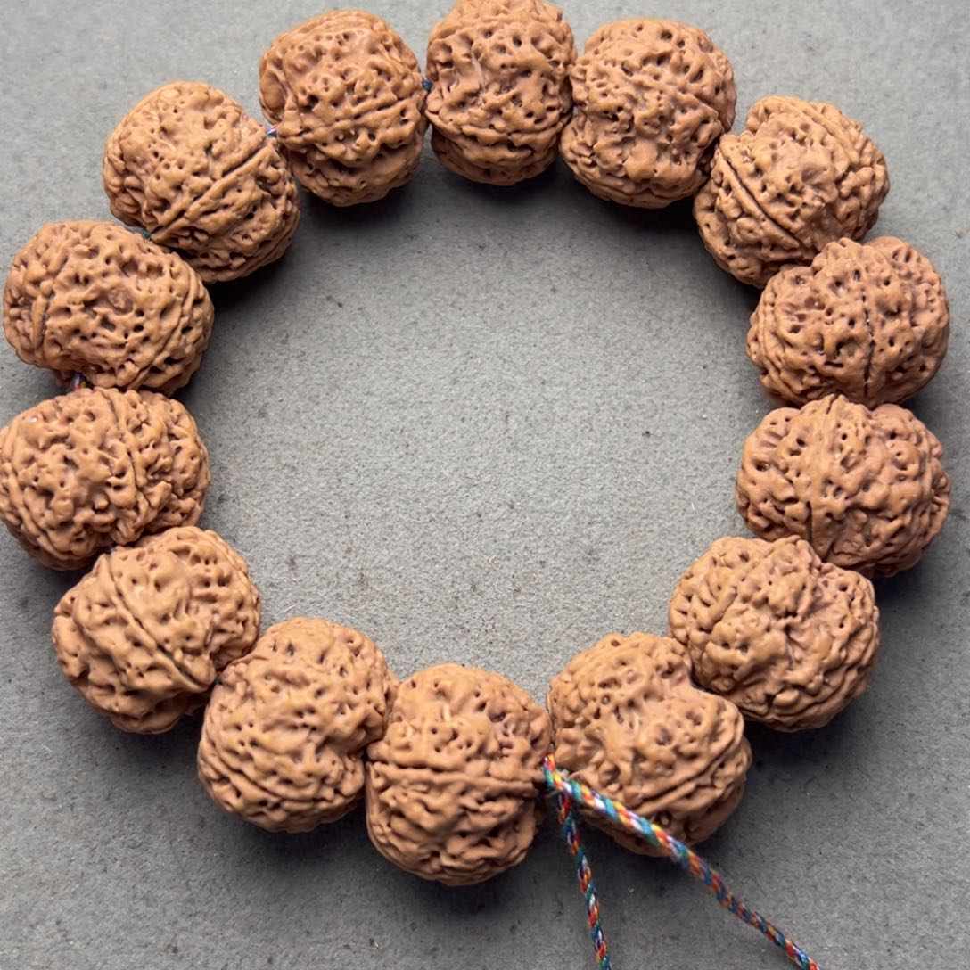 菩提8号金刚菩提梅花蜂窝23