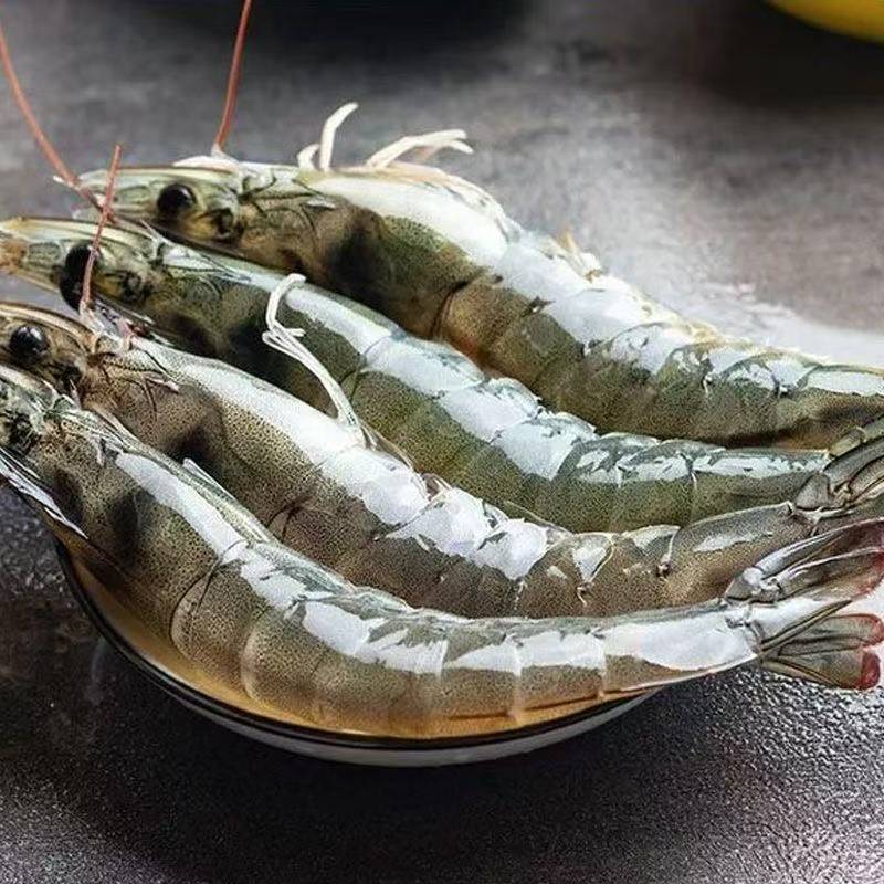海水大虾13-16厘米/只12-15只/斤整盒3斤左右薄碎冰锁鲜 T