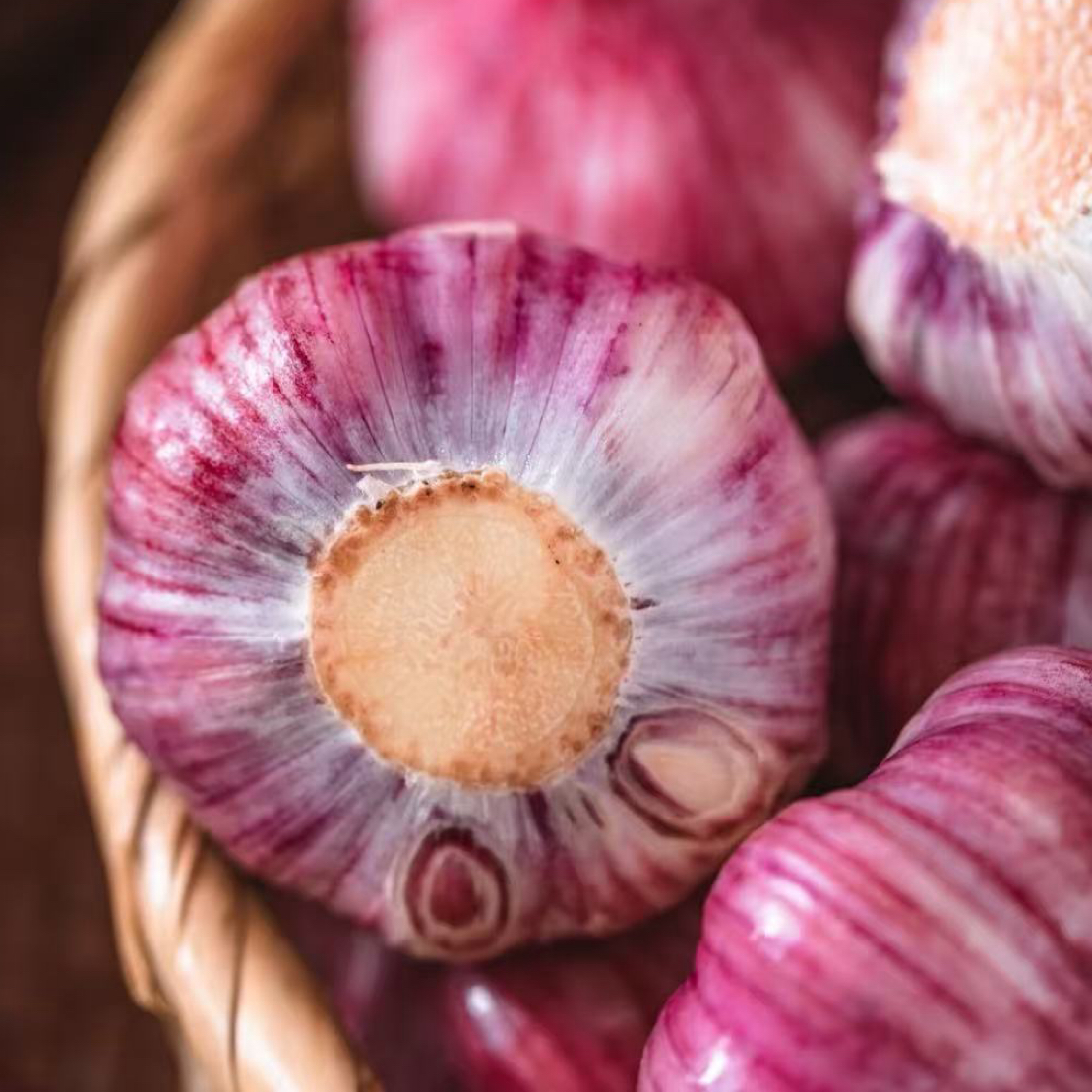 天津宝坻六瓣红大蒜小果一辫子50头干蒜直径2厘米